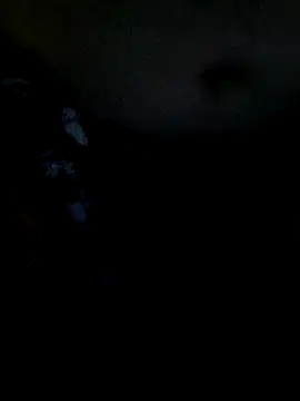 Leocesar37 online show from 12-19-25, 03:03