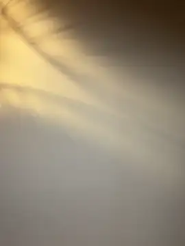 lola tentatiion online show from 02-17-26, 09:01