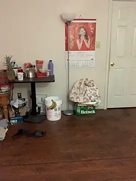 Mingtian4117 online show from 11-30-25, 02:29