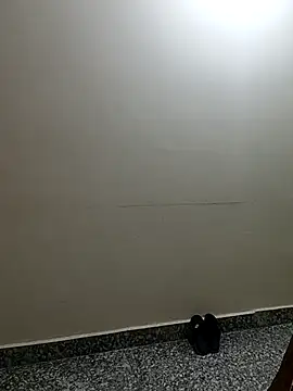 Snapshot of Saroj-Shah chatting on 04-02-26, 03:35 Saroj-Shah online show from 04-02-26, 03:35