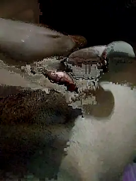 pusssyhub online show from 12-04-25, 10:31