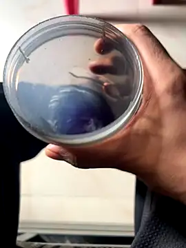 Snapshot of Privateseducer chatting on 09-25-25, 03:34 Privateseducer online show from 09-25-25, 03:34