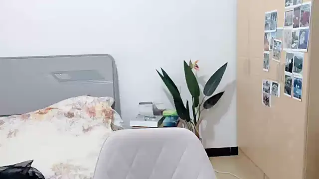 fanfan-FF online show from 03-20-25, 12:11