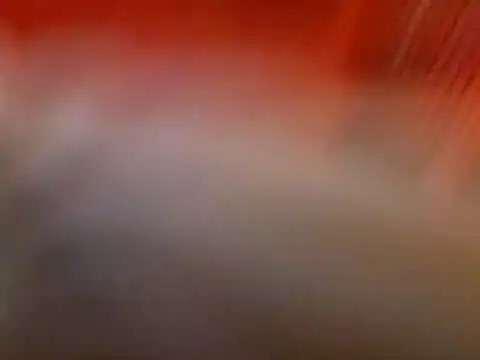 Lexxstacy online show from 07-13-26, 09:03