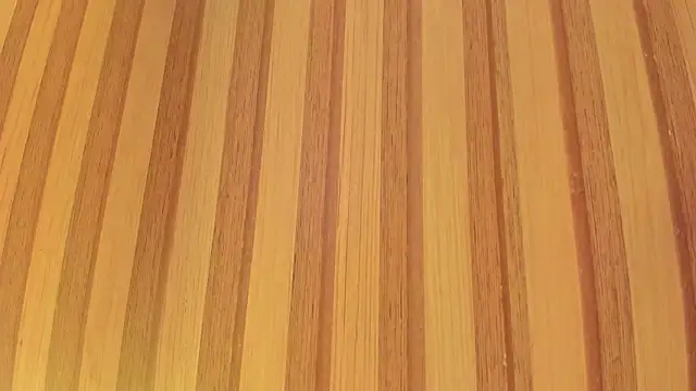 Snapshot of Taylor__cooper chatting on 02-02-26, 06:29 Taylor cooper online show from 02-02-26, 06:29