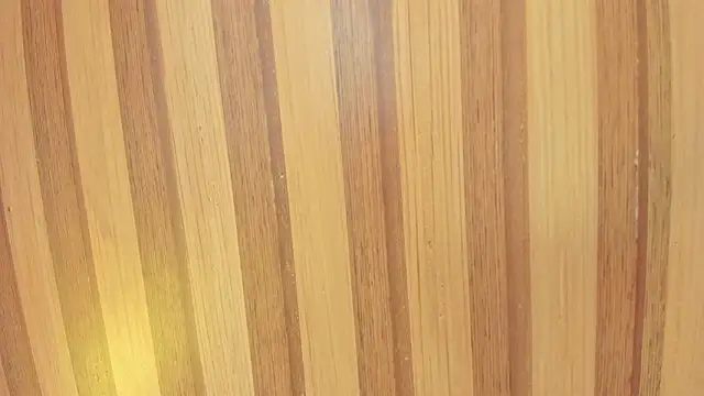 Snapshot of Taylor__cooper chatting on 02-07-26, 06:38 Taylor cooper online show from 02-07-26, 06:38