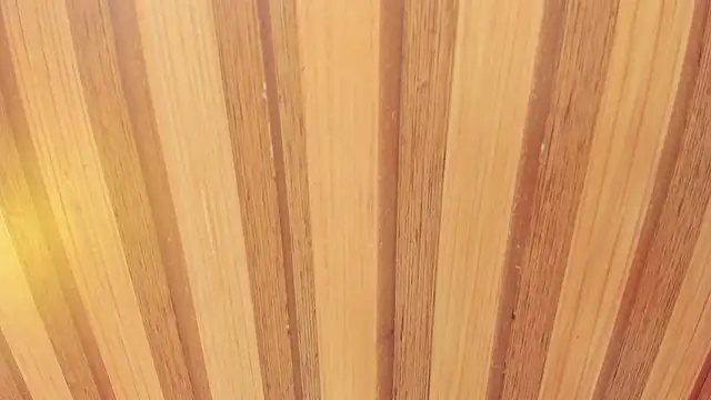 Snapshot of Taylor__cooper chatting on 02-18-26, 06:37 Taylor cooper online show from 02-18-26, 06:37