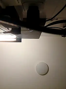 Maharajata1234 online show from 12-15-24, 02:52