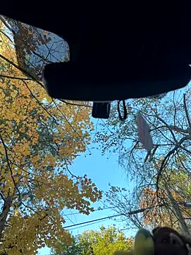 KBD85 online show from 11-02-25, 08:58