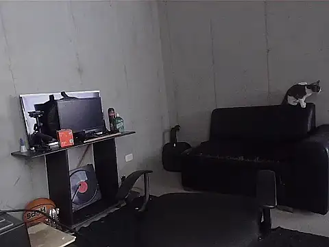 patrik tattoo  online show from 04-07-26, 04:53