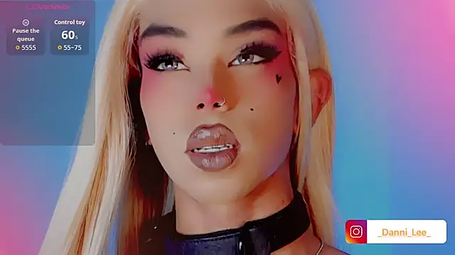 DanniLee  online show from 11-04-25, 11:30