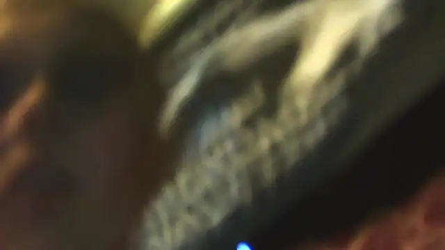 sexycockfiend777 online show from 11-22-25, 01:21