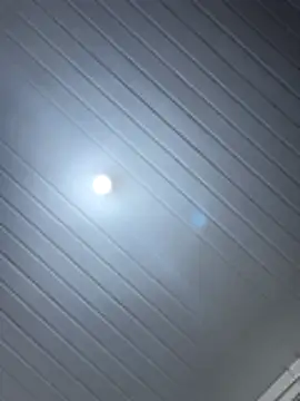 luara1988 online show from 12-15-25, 01:28