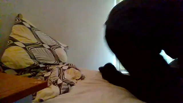 Snapshot of lusluk chatting on 12-30-24, 03:34 lusluk online show from 12-30-24, 03:34