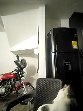 King russo online show from 01-19-26, 05:44