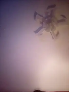 Fiesty findom40 online show from 01-10-26, 02:29