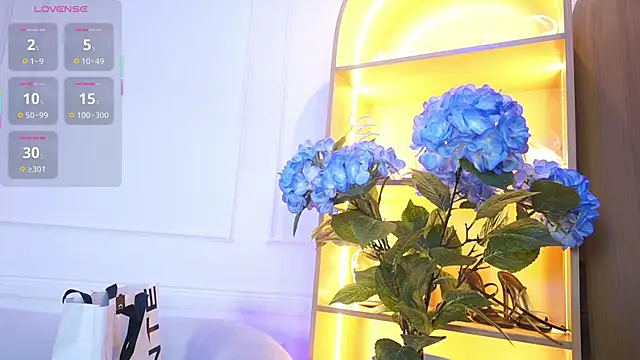 elasummer online show from 11-28-25, 11:54