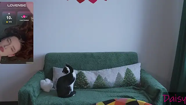 CookyDaisy online show from 02-09-25, 07:15