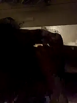 ethergodess9 online show from 11-19-25, 06:13