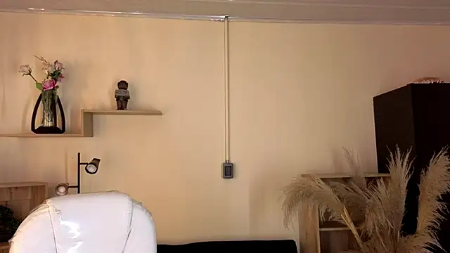 Meelanny ds online show from 11-05-25, 04:26