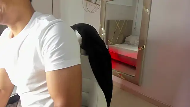 Lucii fer  online show from 12-01-25, 11:44