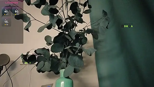 Snapshot of Your_dream_Alice chatting on 02-25-25, 07:49 Your dream Alice online show from 02-25-25, 07:49