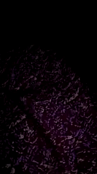 Hot-Anuska online show from 03-17-25, 05:38