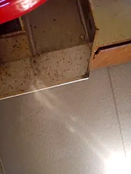 Beyond1978 online show from 11-13-25, 08:35