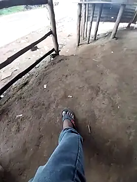 sudhastriper online show from 09-11-25, 07:30