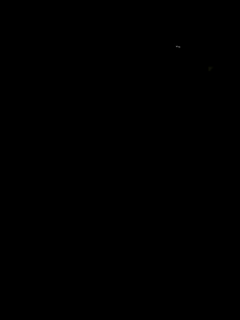 NiceJ81 online show from 11-28-25, 03:34