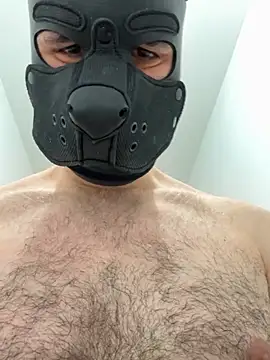 FrenchCamDog online show from 04-06-26, 02:29