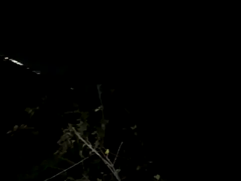 Backshort11 online show from 11-04-25, 03:21