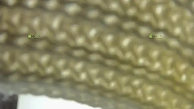 Alysta online show from 10-30-25, 07:55