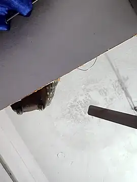 sana14 online show from 12-17-25, 10:48