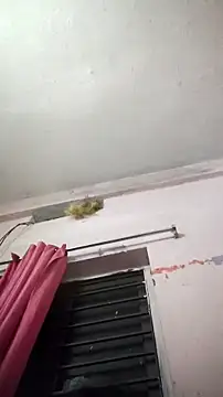 sana14 online show from 04-08-26, 04:52