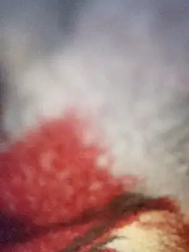 sana14 online show from 12-19-25, 10:34