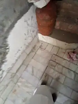 menakshiiikaur online show from 03-29-26, 02:57