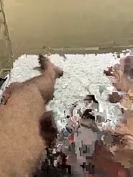 cum4mheaven online show from 03-22-26, 06:48