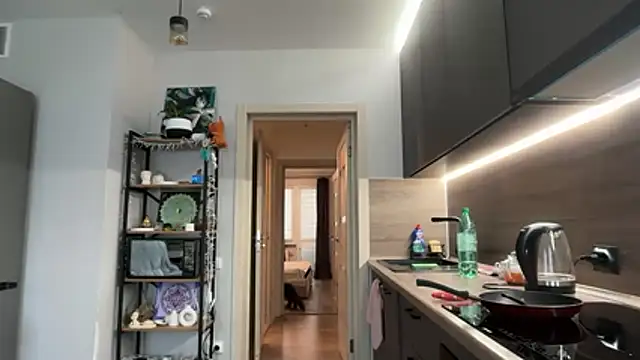 jainesummer online show from 12-04-25, 08:46