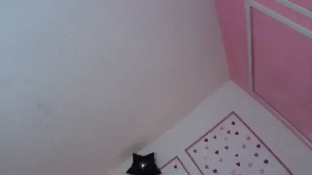 stephania t online show from 01-10-26, 12:33