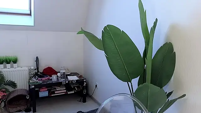 violetviolator online show from 03-09-25, 06:06
