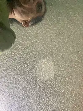 Effyvice13 online show from 09-29-25, 06:09