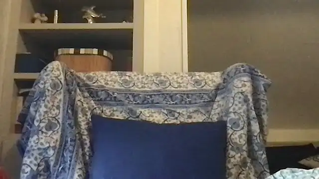 pantomax online show from 11-29-25, 08:03