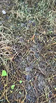 Snapshot of tamil000000 chatting on 03-16-25, 01:38 tamil000000 online show from 03-16-25, 01:38