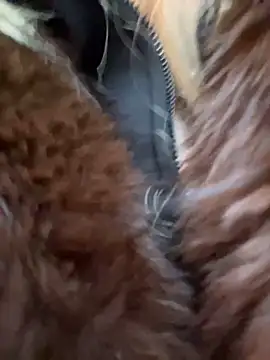 babydolll online show from 12-20-25, 11:35