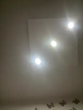 AntonellaAlondra4 online show from 11-14-25, 03:21