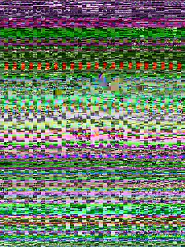 senoritaseno online show from 02-11-25, 09:03