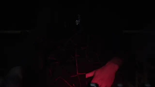 contemptumundi888 online show from 02-04-25, 08:49