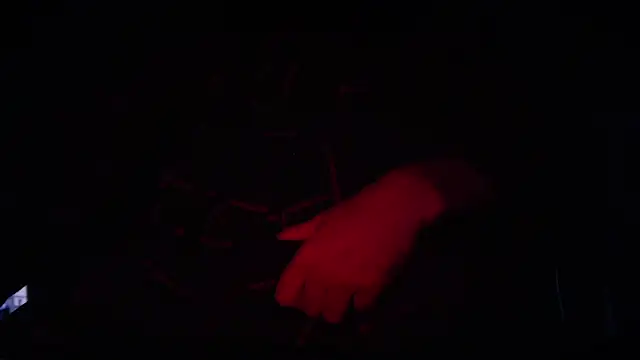 contemptumundi888 online show from 02-11-25, 03:51