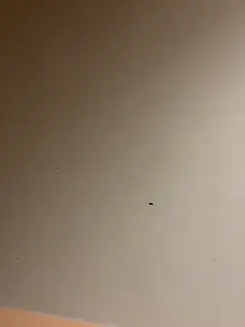 lilyxafterdark online show from 12-04-24, 08:17